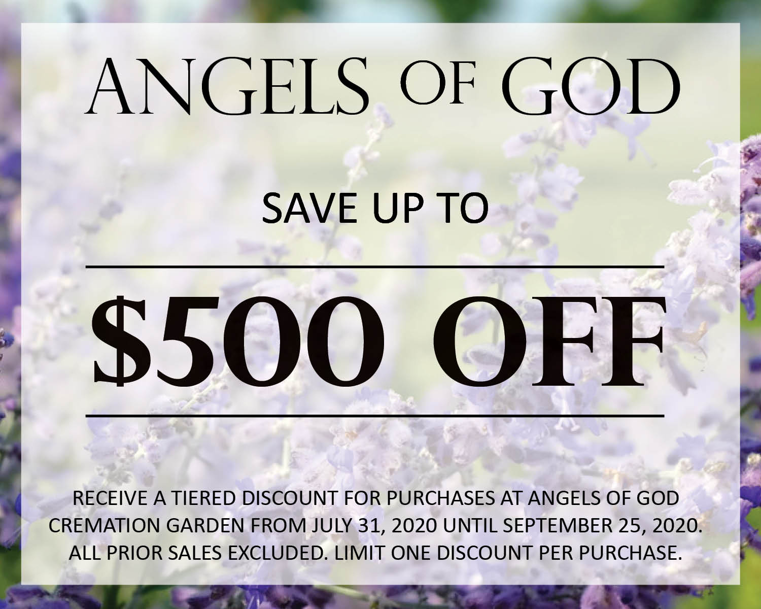 AOG Intro Price Ad