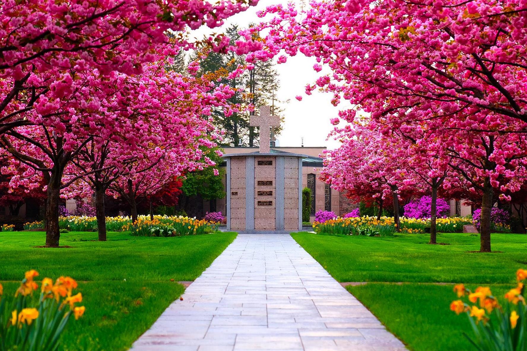 Holy-Rosary-Cremation-Garden Columbarium with pink trees