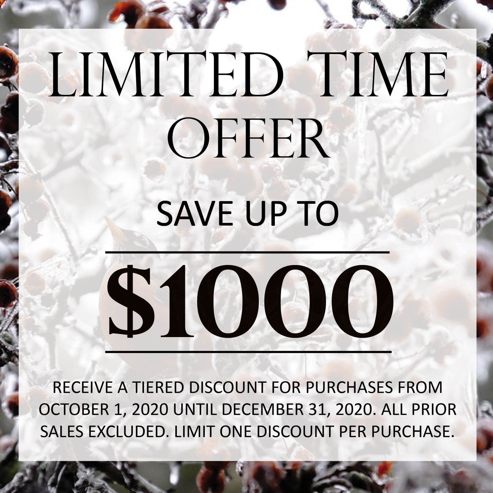 Qtr 4 Promo Ad Angels of God Introductory Pricing