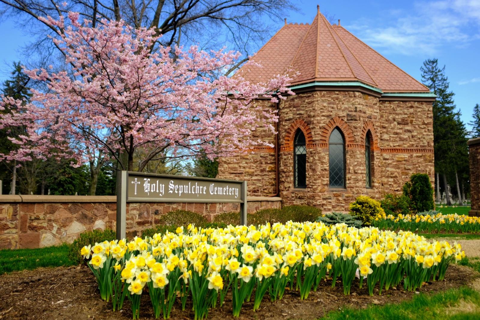 chapel-with-daffodils Columbarium surrounded by pink trees