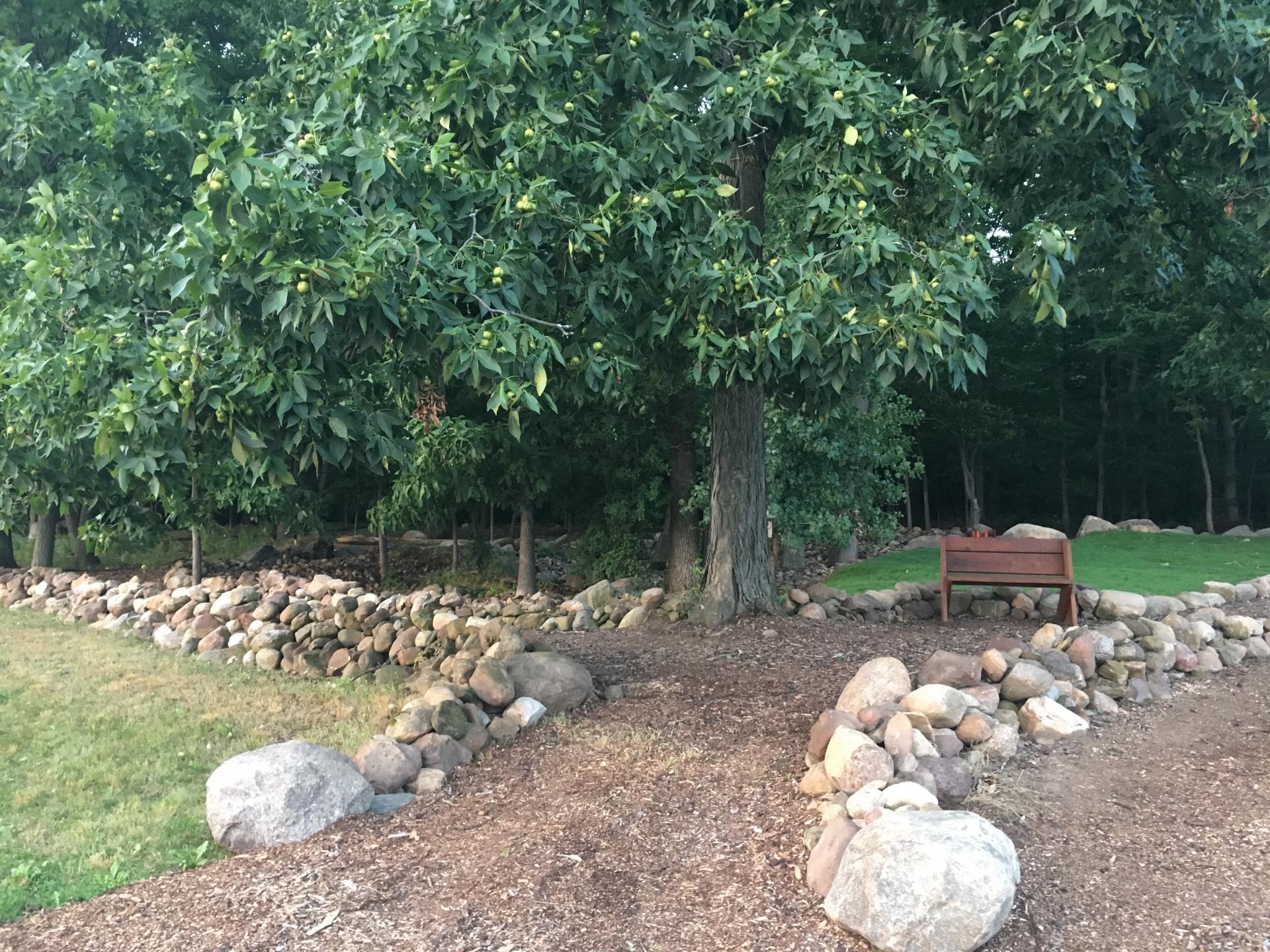 green-1 Green burial area entrance path